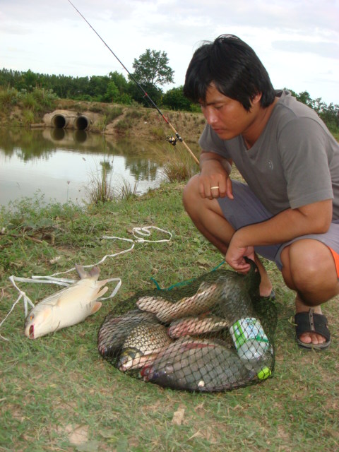 ไปมันส์ข้ามคืนมาครับ