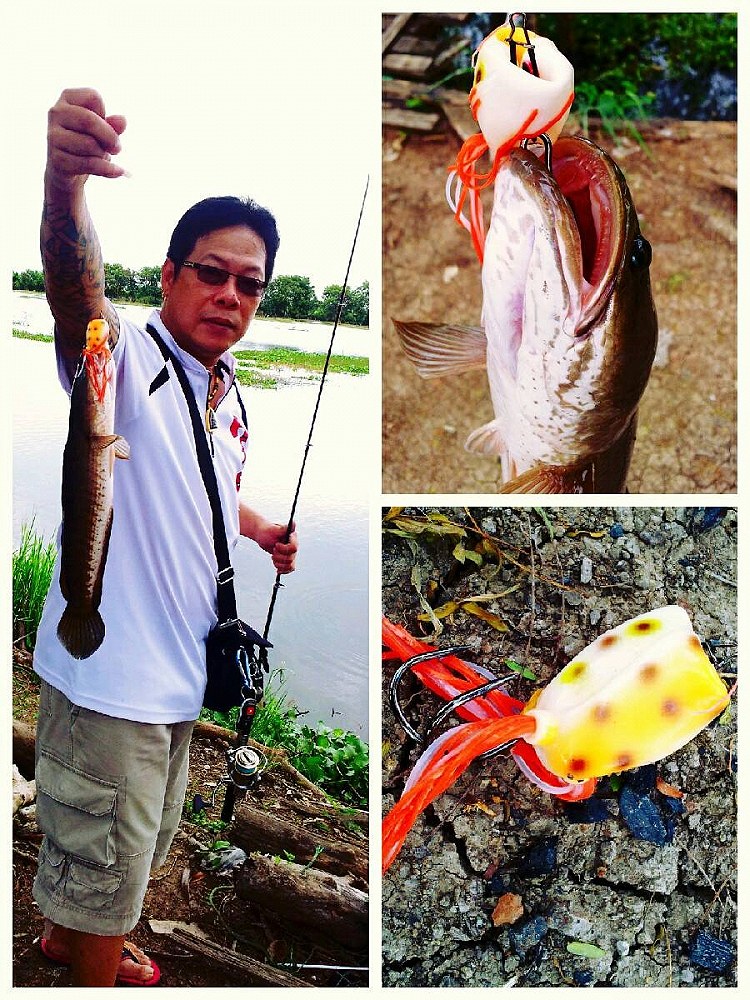 กบยาง Actionlure + ช่อน