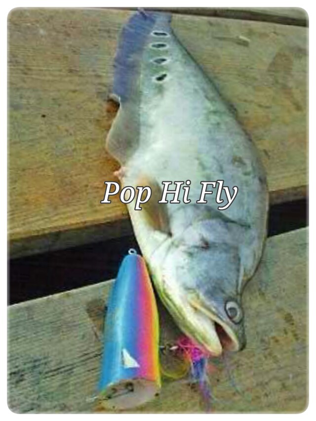 Pop Hi Fly สีสลิ่ม!!!