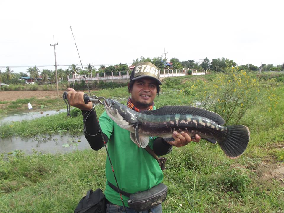 ตกไอ้โดข้างทาง......(สิงบุรี)