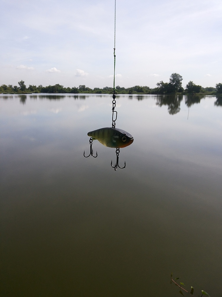 ตี vib ที่ บางขุนเทียน บ่อ 150 ไร่