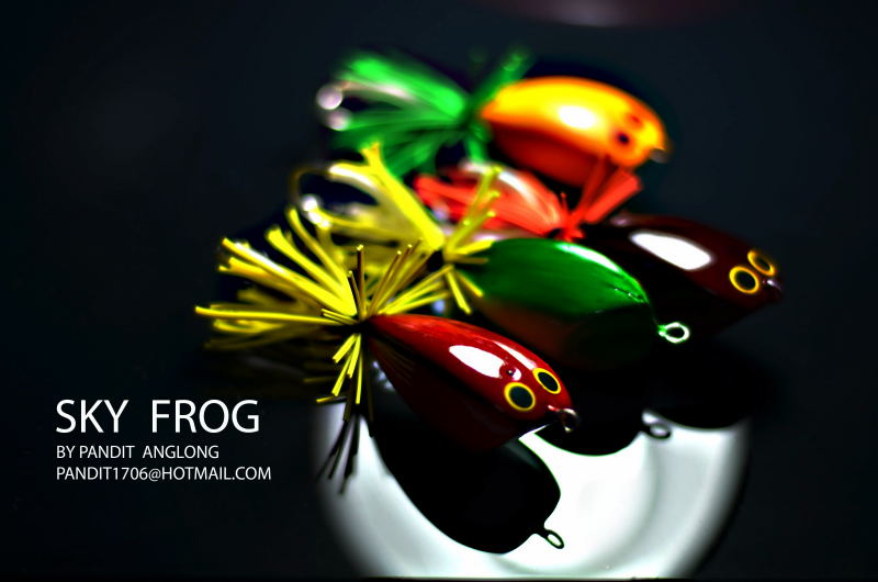 SKY  FROG...