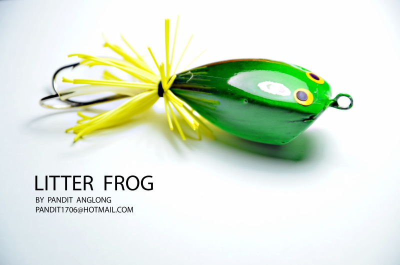 SKY  FROG...