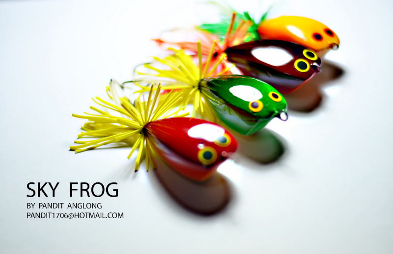 SKY  FROG...