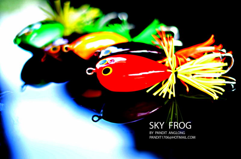 SKY  FROG...