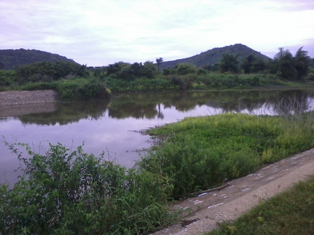 น้ำไหลที่พุไทร