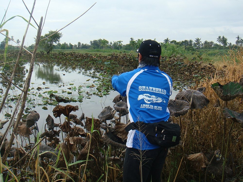 ฉลองเสื้อใหม่ SnakeHead Angler Club 