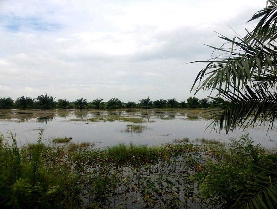 @  วันอาทิตย์ นิดๆหน่อยๆ @