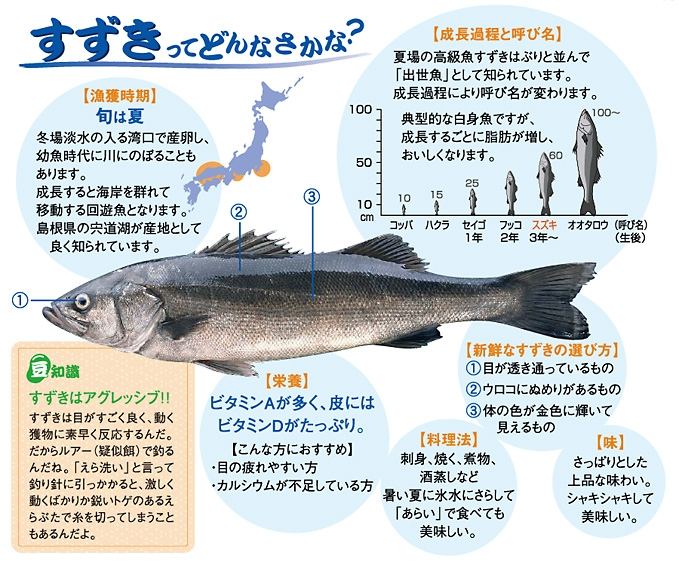 รายงานตกปลาญี่ปุ่น2 (จอมโหด แดนซามูไร)