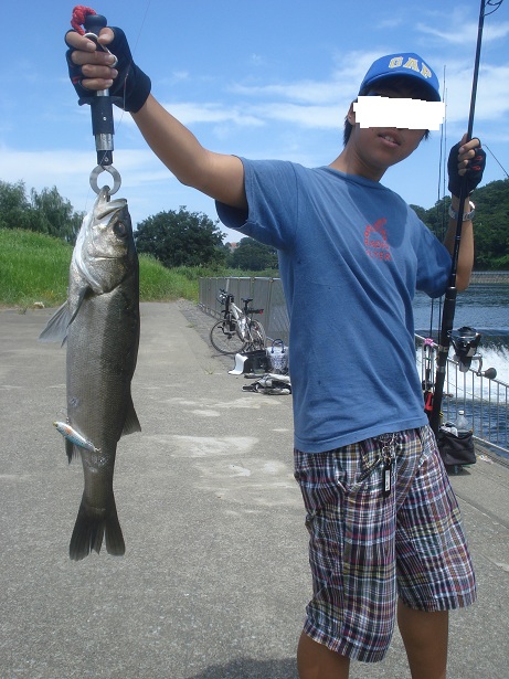 รายงานตกปลาญี่ปุ่น2 (จอมโหด แดนซามูไร)