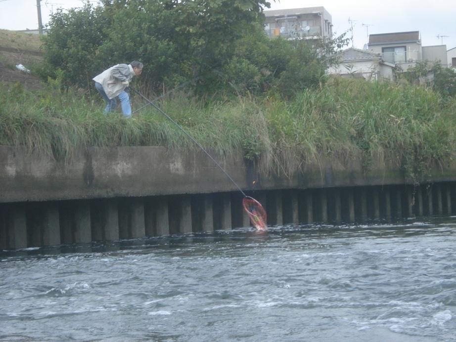 รายงานตกปลาญี่ปุ่น6 (ตกปลาหน้าดินญี่ปุ่น ตอนที่1)