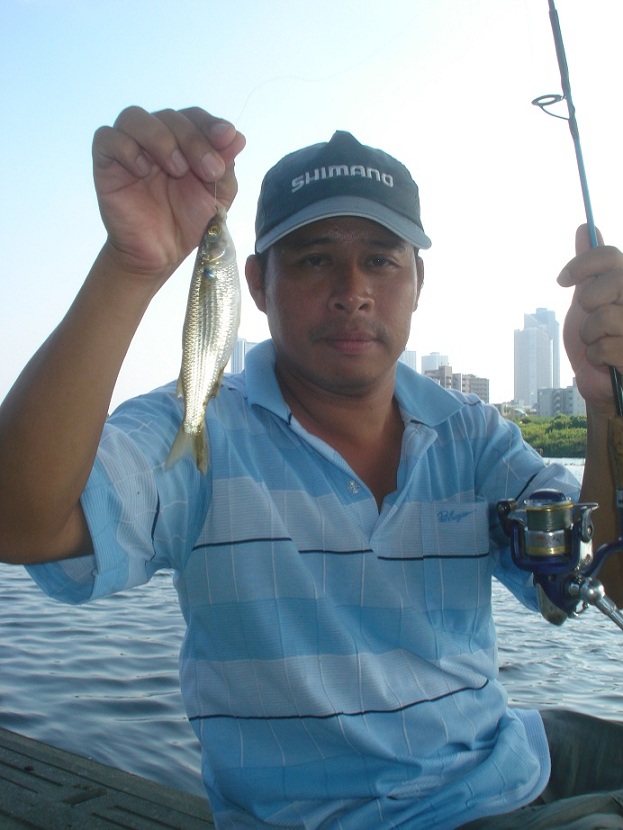 รายงานตกปลาญี่ปุ่น8 (ตกปลาหน้าดินญี่ปุ่น ตอนที่2 " ปลา ตอปิโด " )