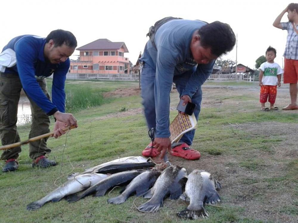 ตกปลาที่บ่อพี่หมู ดอนตูมครับ