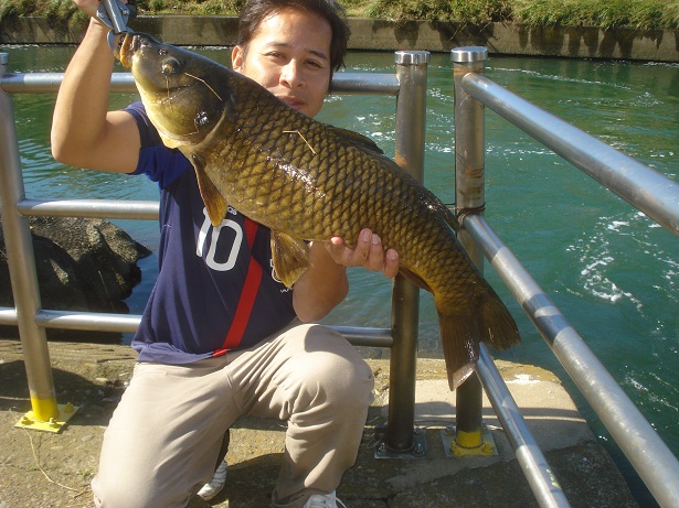 รายงานตกปลาญี่ปุ่น13 (ตกปลาหน้าดินญี่ปุ่น ตอนที่4 " ปลา โคว้ย2 " )