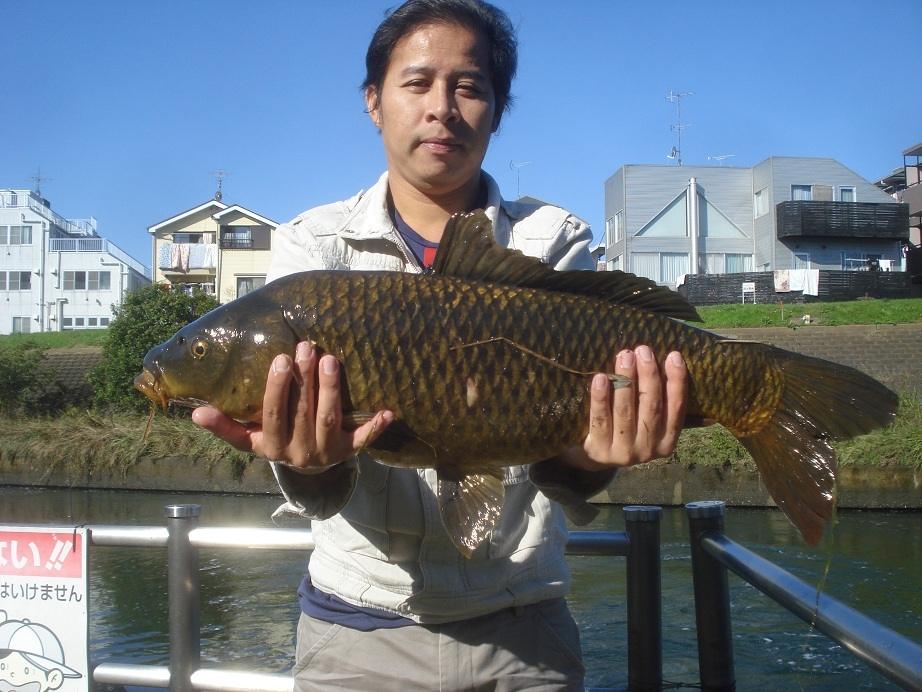 รายงานตกปลาญี่ปุ่น13 (ตกปลาหน้าดินญี่ปุ่น ตอนที่4 " ปลา โคว้ย2 " )