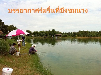 10 พฤศจิกา ห้าหมื่นที่บึงชมนาง พร้อมปลาน๊อคเร็ว หมื่นห้า