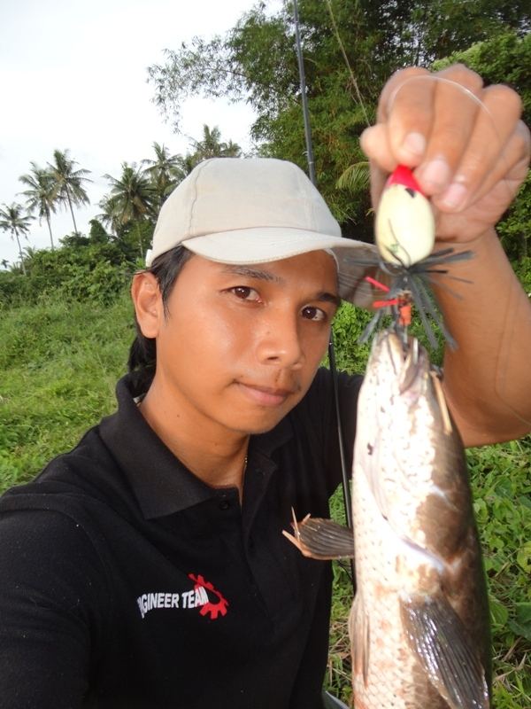 ปลาช่อนยามเย็น@phuket