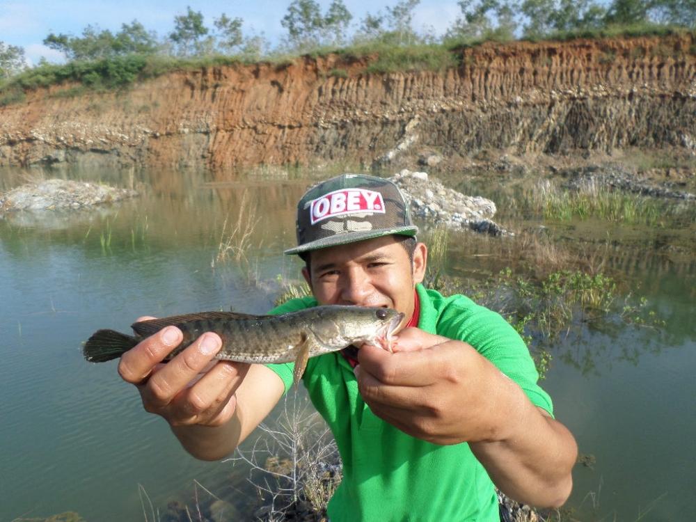 ขอซักหน่อยก่อนไปทำงานครับ BY TOMFISHINGMAN