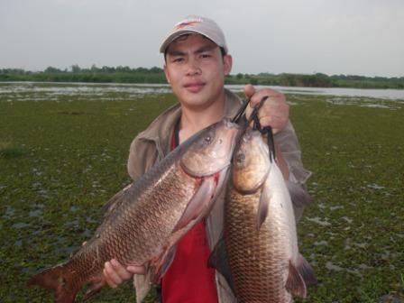 รวมภาพที่ตกผ่านๆมา