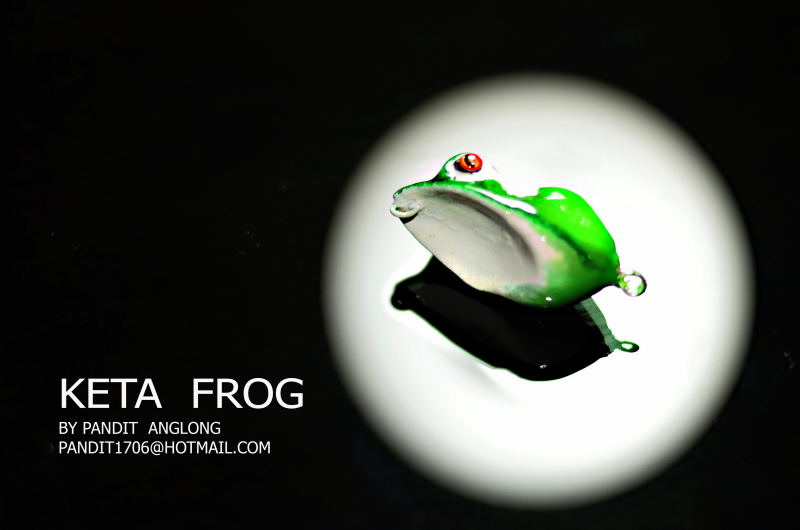 keta  frog