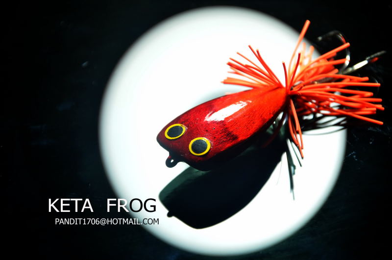 keta  frog