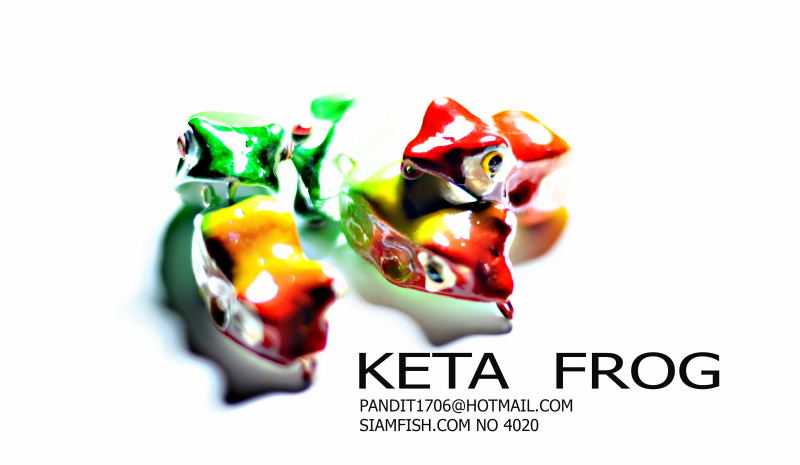 keta  frog