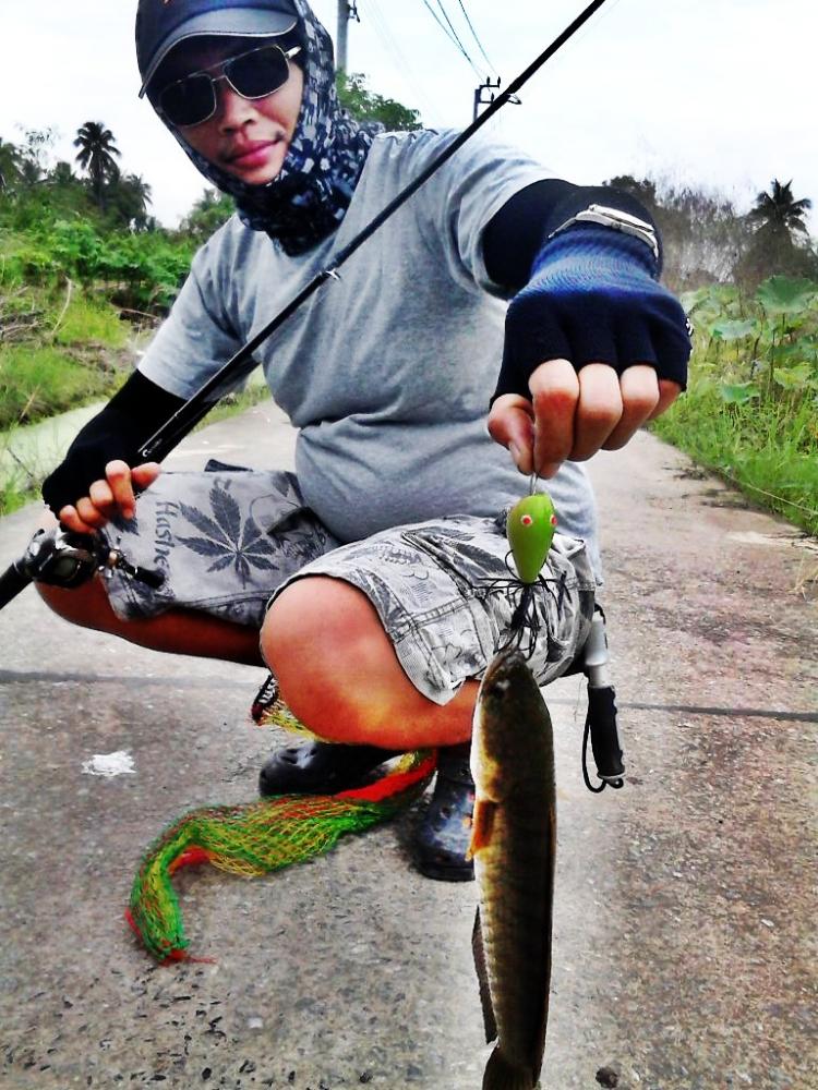 กบกะโดด100C.C./Snakehead Angler Club.