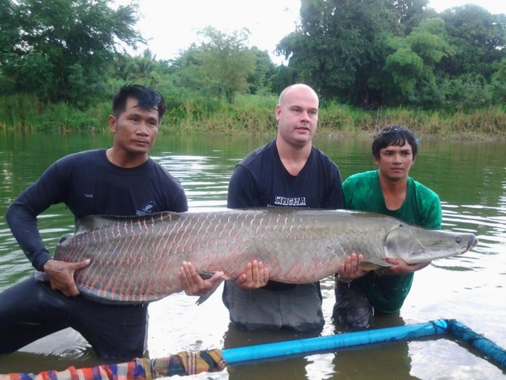 ช่อนใหญ่ขึ้นอีกแล้วที่ กรีนฟิล หัวหิน