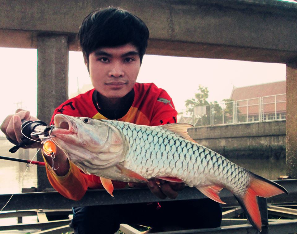 กระสูบเช้าๆๆ.....อาศเย็นเย็นสบายสบายยยยย  Rapala Fat Rap 5GF