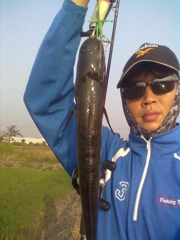 SnakeHead Angler Club. ตัวแรกของปี57คับ