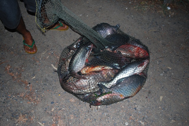 บ่อตกปลาหนุ่มบางวัว (บ่อปลารวม)ที่ 4.5-01-57
