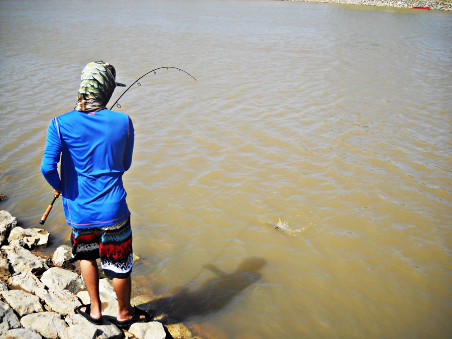 ..... ความมันส์ น้ำไหล กระสูบ ใหญ่ & ปลาเบี้ยว Chaophaya River .....