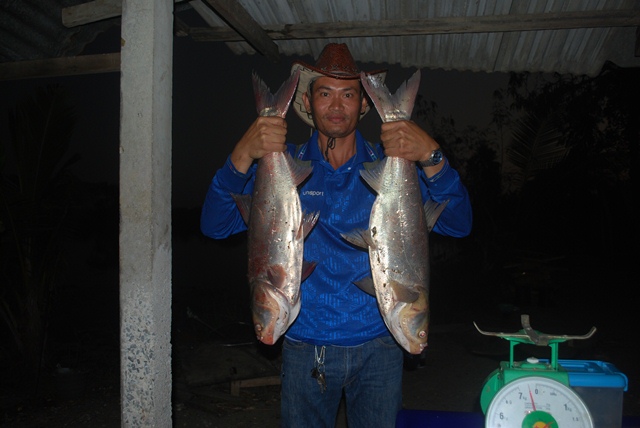 บ่อตกปลาหนุ่มบางวัว (บ่อปลารวม)ที่ 11,12-01-57