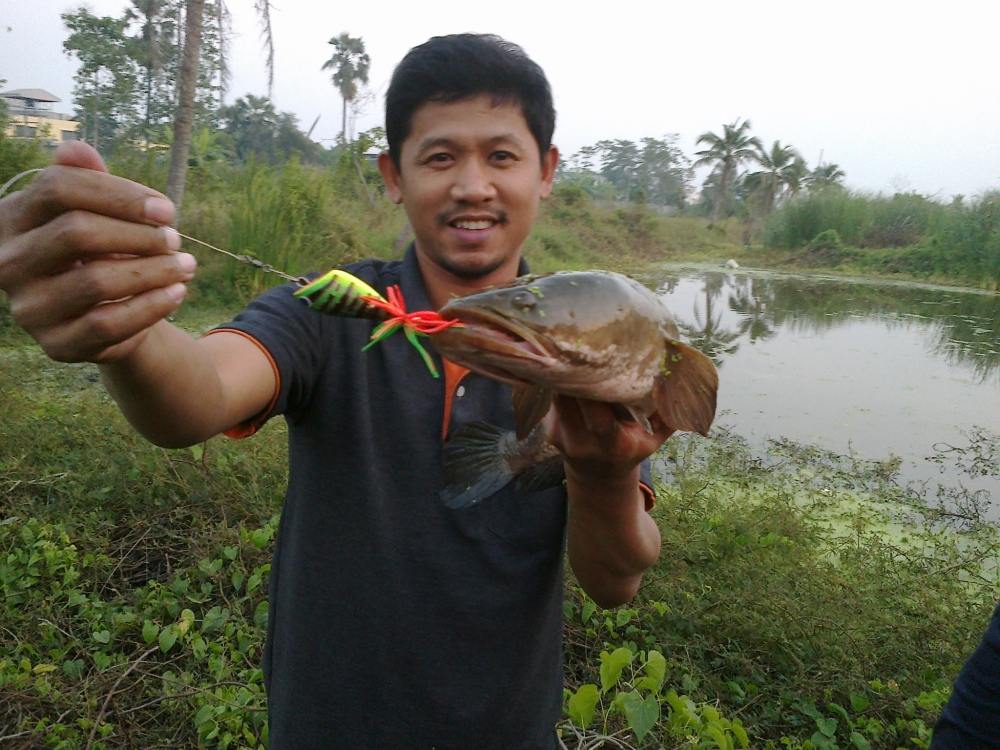 นี่แหละ SnakeHead Angler Club