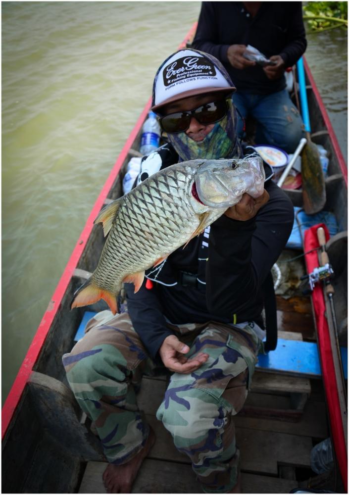 กระสูบเจ้าพระยา