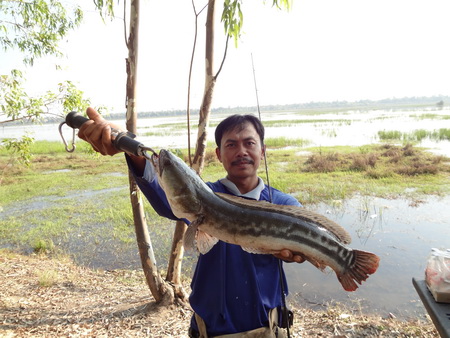 เมื่อน้องมายามในวันเลือกตั้ง