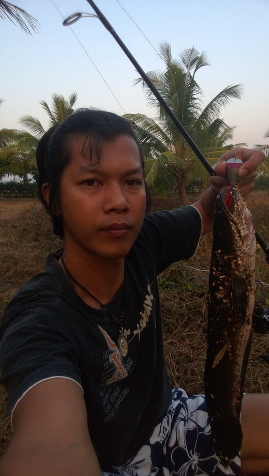 ตีช่อนวันหยุด