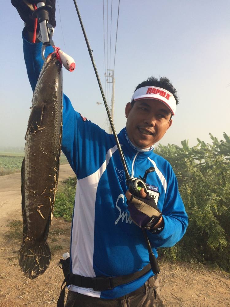 SnakeHead Angler club กับ ช่อนนิดหน่อย