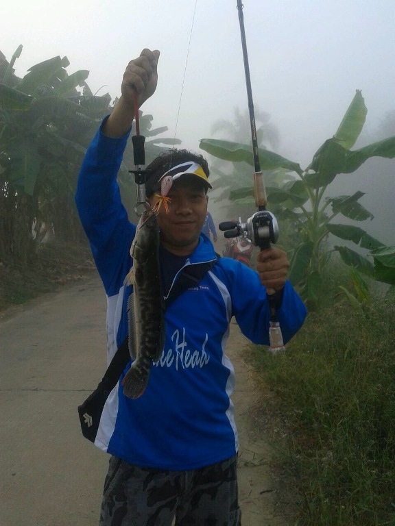 SnakeHead Angler club กับ ช่อนนิดหน่อย