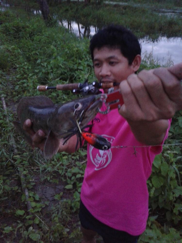 SnakeHead angler Club จัดหนักหลังเลิกงาน