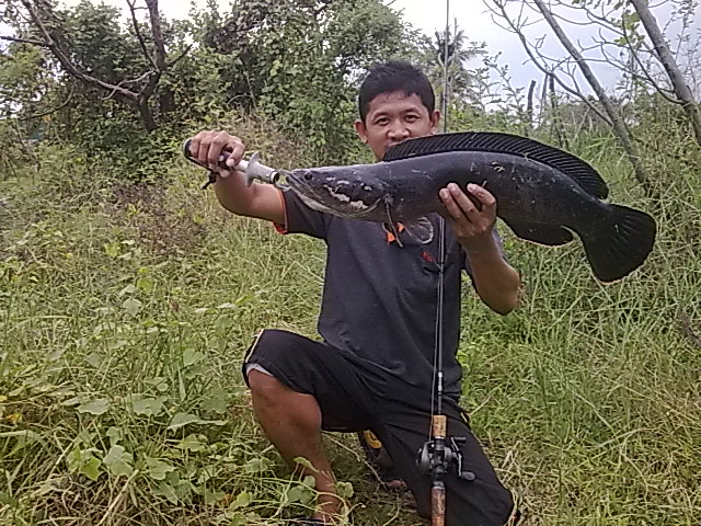 SnakeHead angler Club จัดหนักหลังเลิกงาน