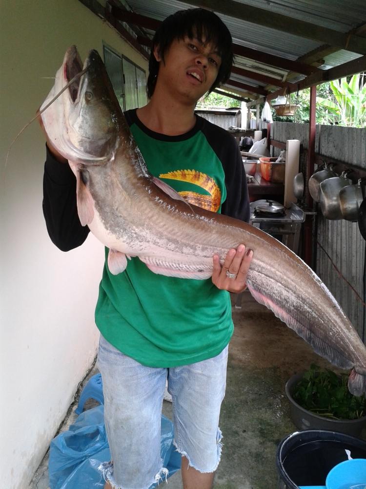ผม อยากเป็นโปร 2
