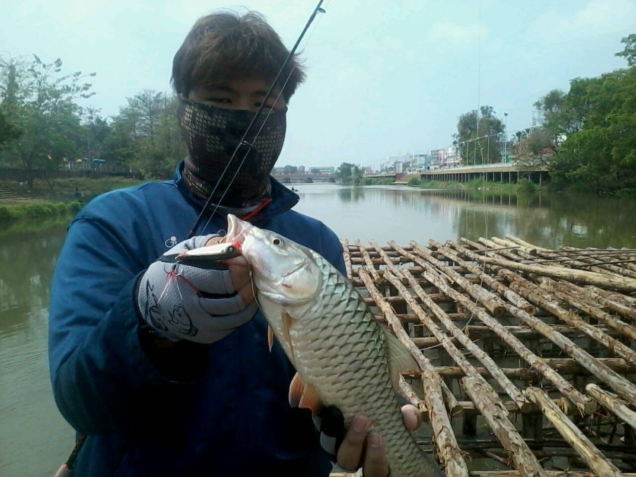 กระสูบแม่น้ำครับ