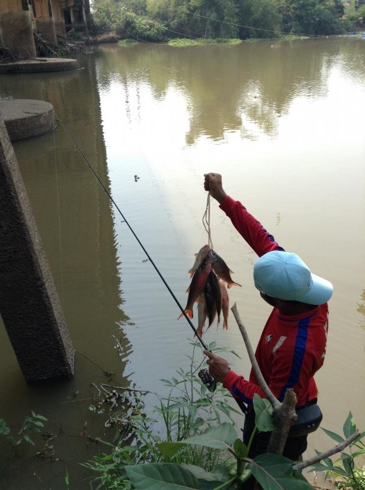 กระสูบ แม่น้ำปราจีนบุรี