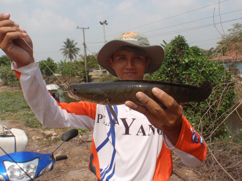 หนังสั้น 2 อาทิตย์ กับช่อนคลอง ภาค 1.