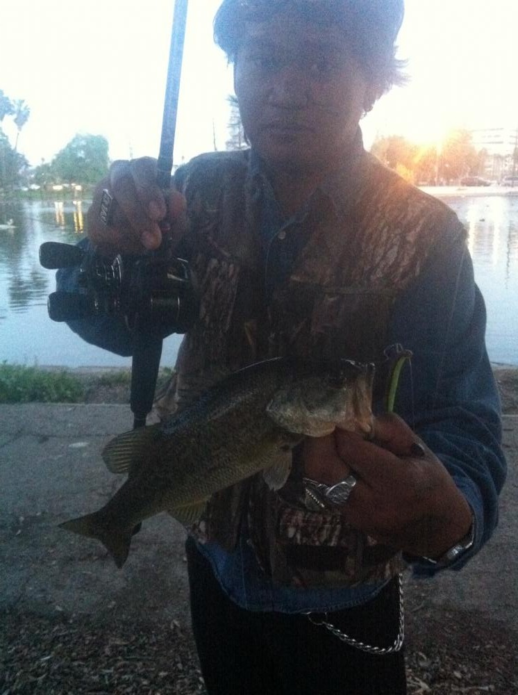 Bass in Lincoln park lake USA