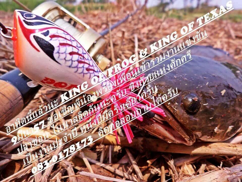 งานแข่งขัน KING OF FROG , KING OF TEXAS วันที่ 9 มีนาคม 2557