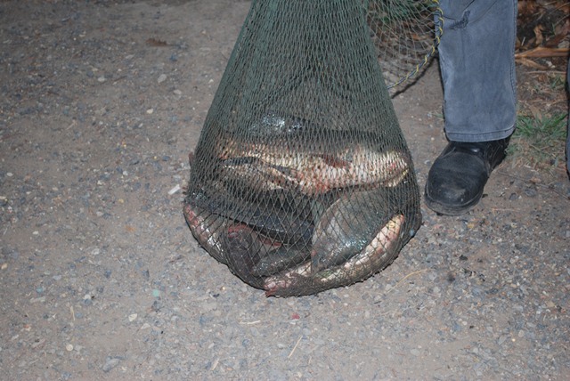 บ่อตกปลาหนุ่มบางวัว (บ่อปลารวม) วันที่ 8 - 03 - 57