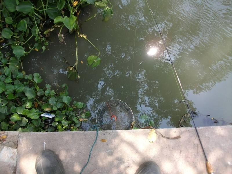 หากับข้าวเย็นที่คลองน้ำอ้อมเจ้าพระยา