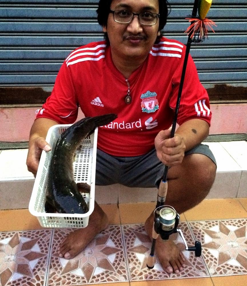 ลองกบหลานชายทำเอง (กบ_Taliban)
